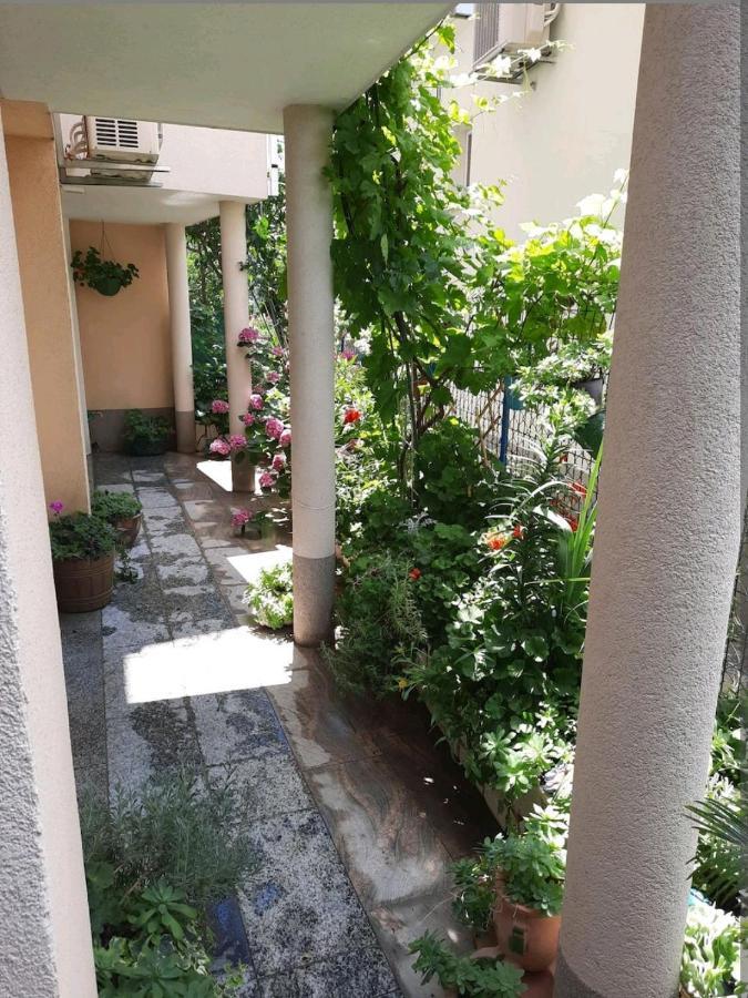 Vila Doris Hotel Baška Voda Kültér fotó